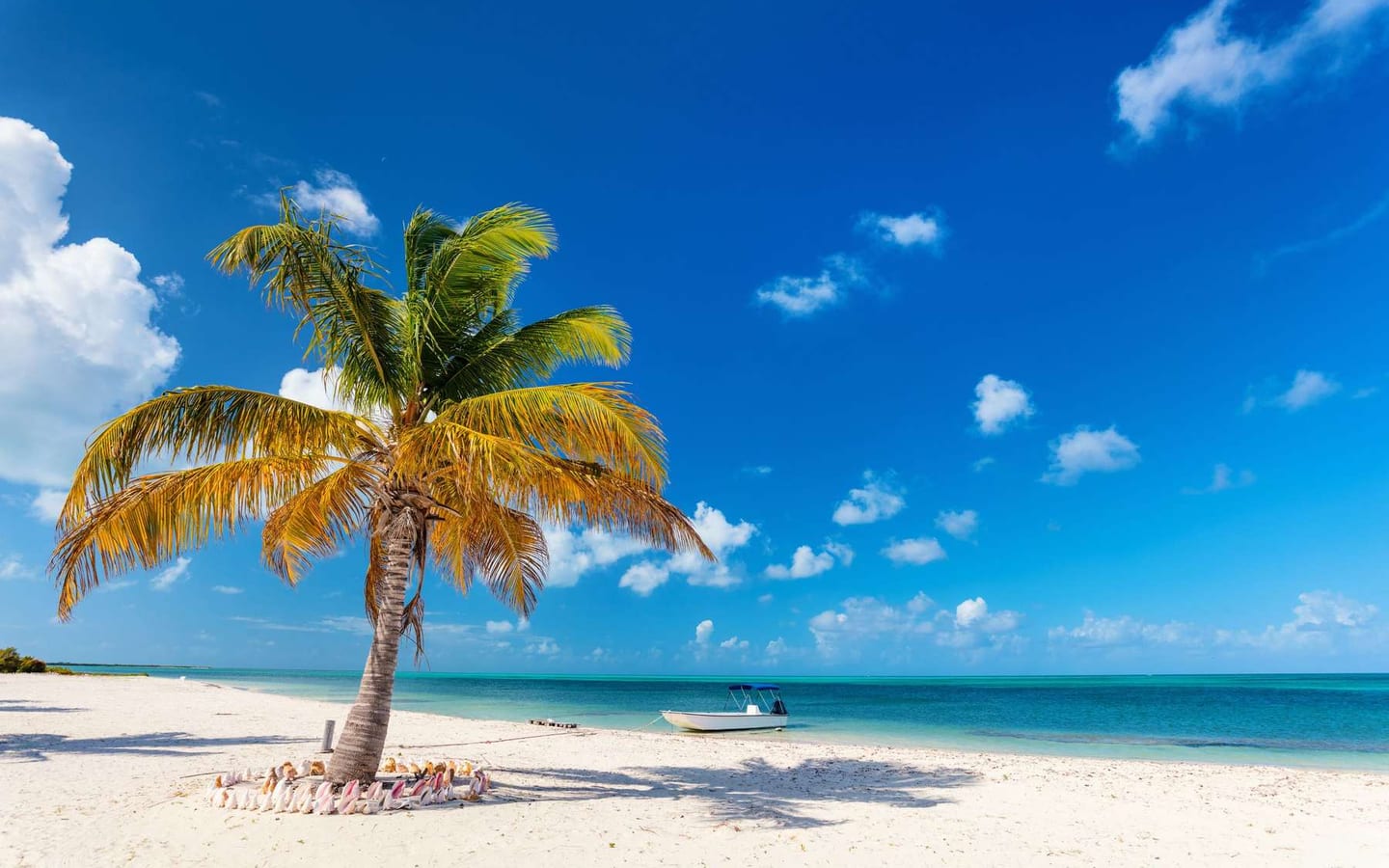 A pale beach on Barbuda