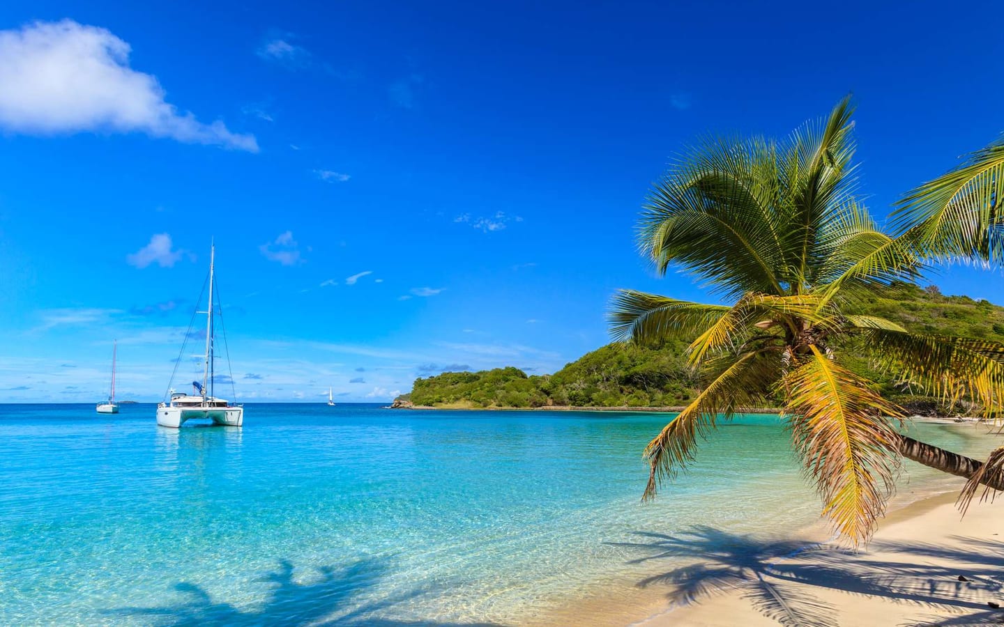 A protected anchorage in the Tobago Cays